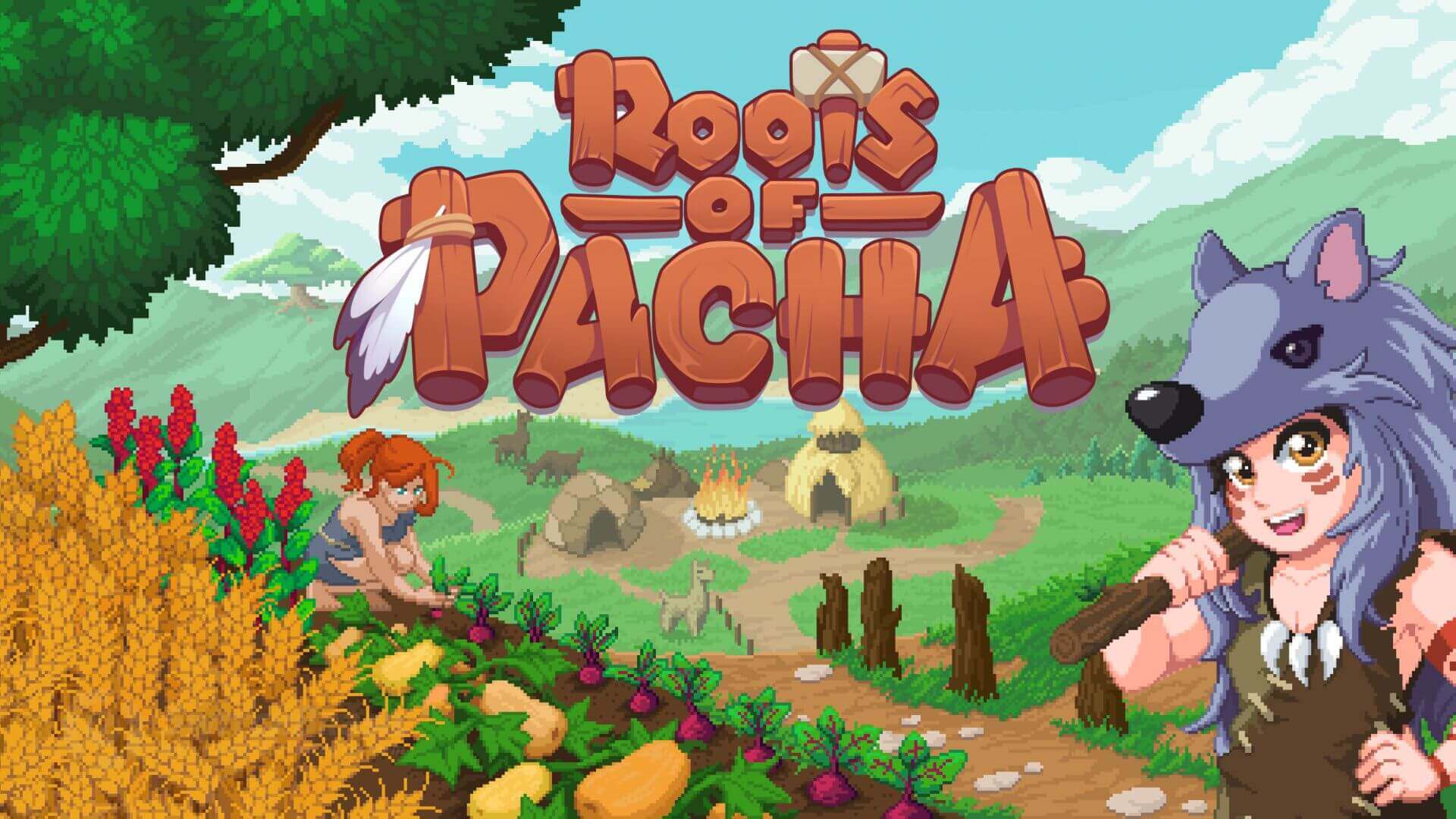 roots of pacha steam