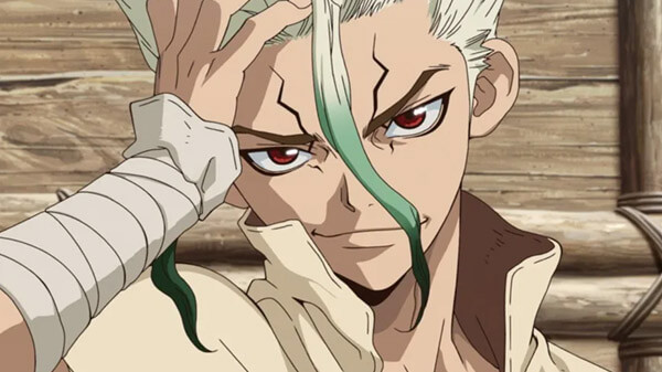 Dr. Stone