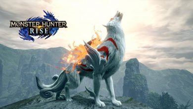 Monster Hunter Rise x Okami