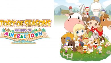 Story of Seasons: Friends of Mineral Town
