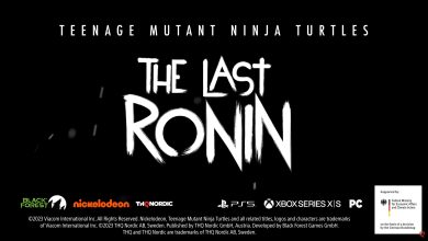 The Last Ronin
