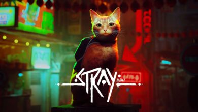 stray capa