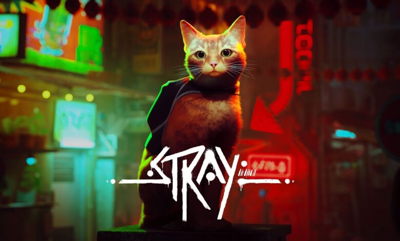 stray capa