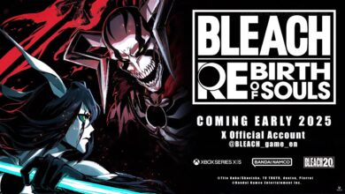 BLEACH Rebirth of Souls