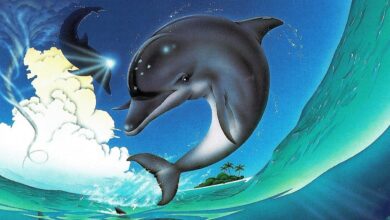 Ecco the Dolphin capa