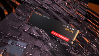 Sandisk WD_BLACK SN8100 NVMe SSD