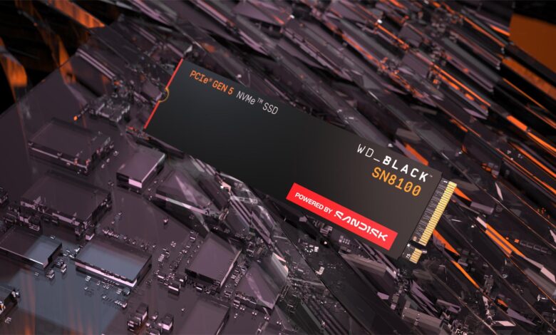 Sandisk WD_BLACK SN8100 NVMe SSD