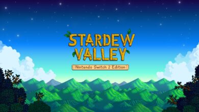 stardew valley switch 2