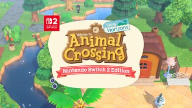 animal crossing switch 2