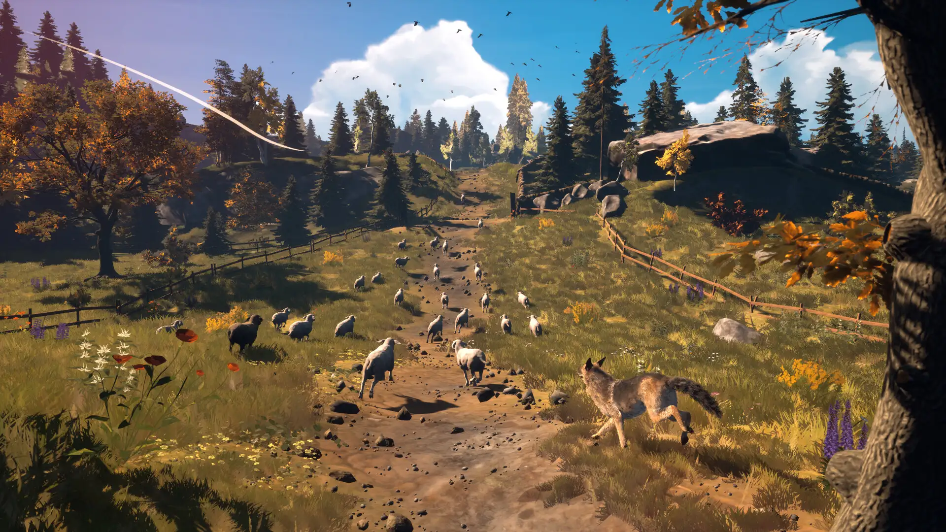 Controlando um cão pastor em uma jornada de instinto e exploração, título da Brocap Studio também possui demonstração gratuita no PC.