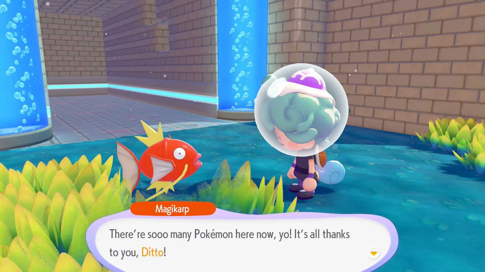 Jogadores descobrem como transformar a nova bacia submarina da DLC Bubbly Basin em terreno seco para Pokémon terrestres.