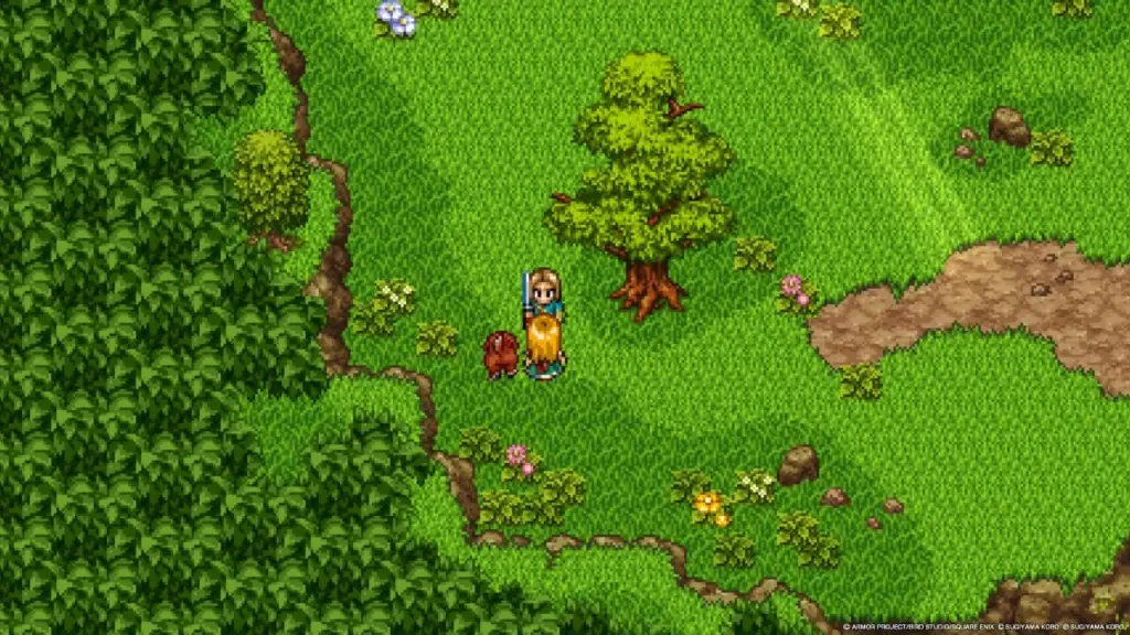 DRAGON QUEST XI S