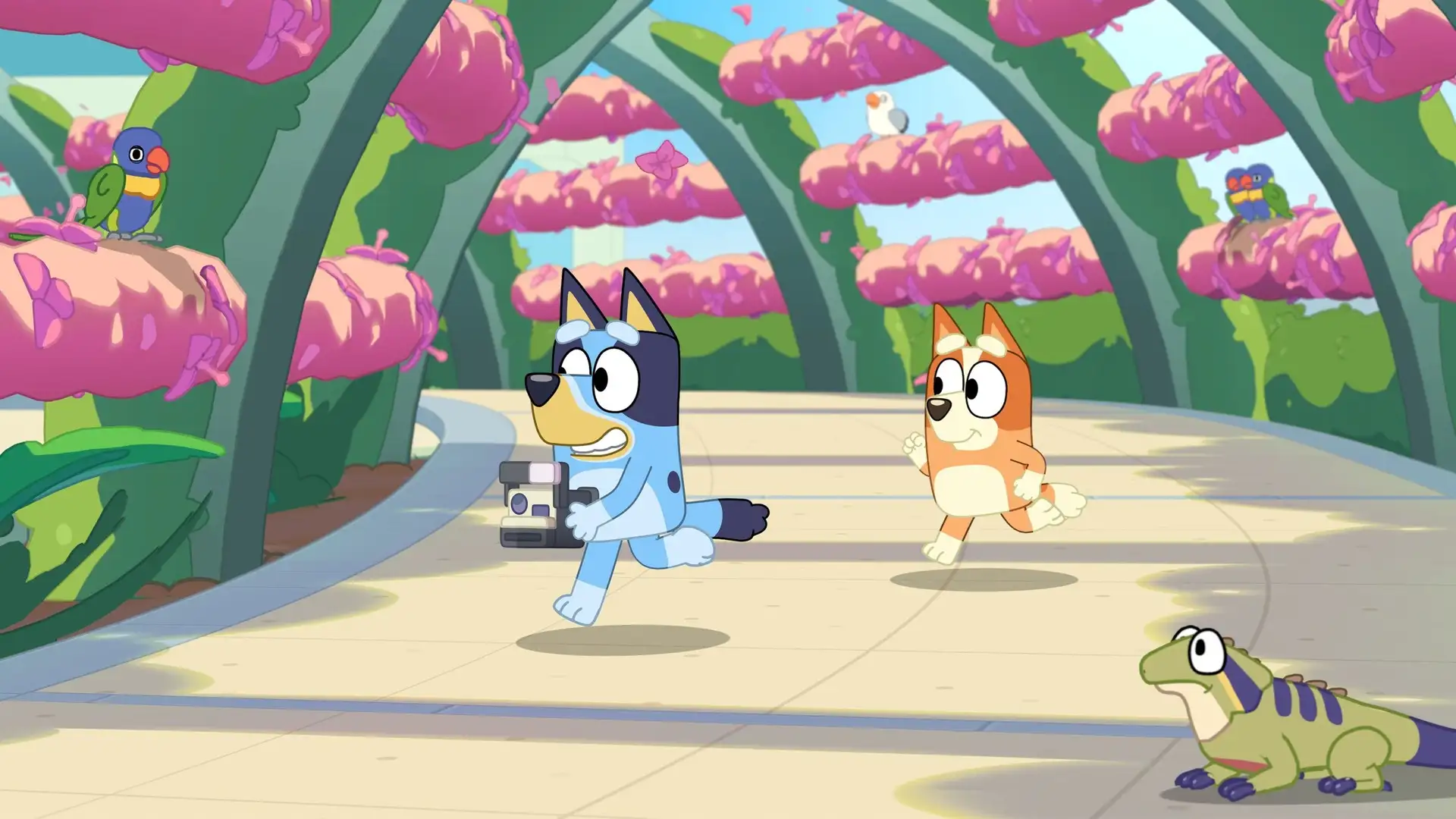 Bluey’s Happy Snaps ganha data de lançamento oficial; saiba quando chega